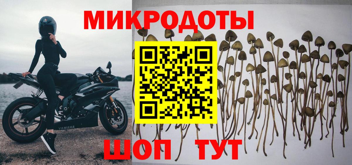 Галлюциногенные грибы Cubensis Нарткала