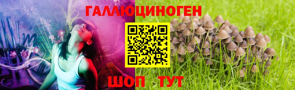 Галлюциногенные грибы Psilocybine cubensis  Вход с VPN  Нарткала  Галлюциногенные грибы ЛСД 
